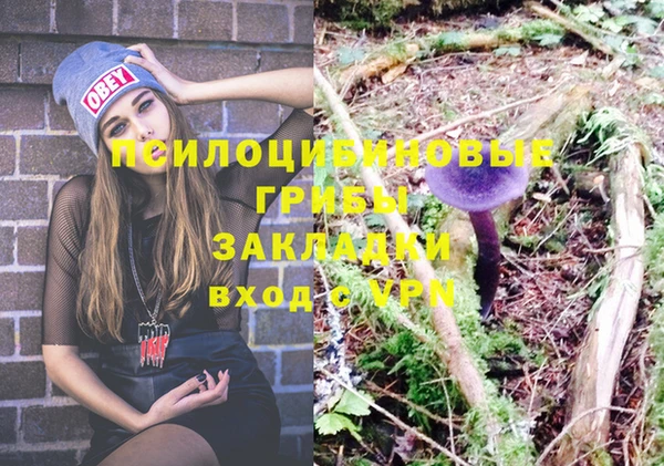 apvp Алзамай