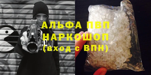apvp Алзамай