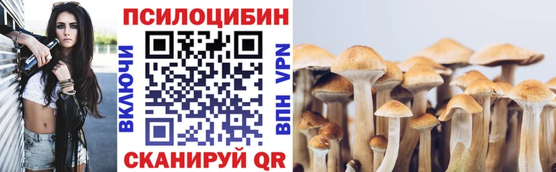 Галлюциногенные грибы Magic Shrooms  MEGA ССЫЛКА  Набережные Челны 