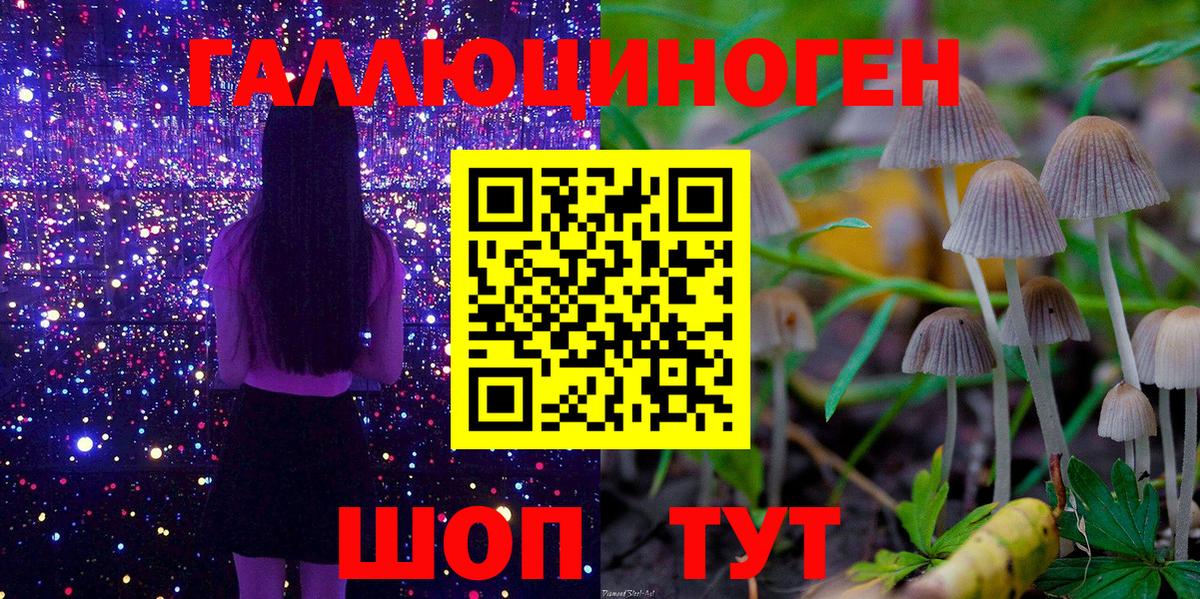 Набережные Челны  Галлюциногенные грибы Cubensis  Вход с VPN 